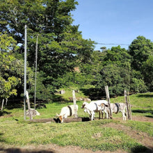 Load image into Gallery viewer, El Queso de Finca Tres G
