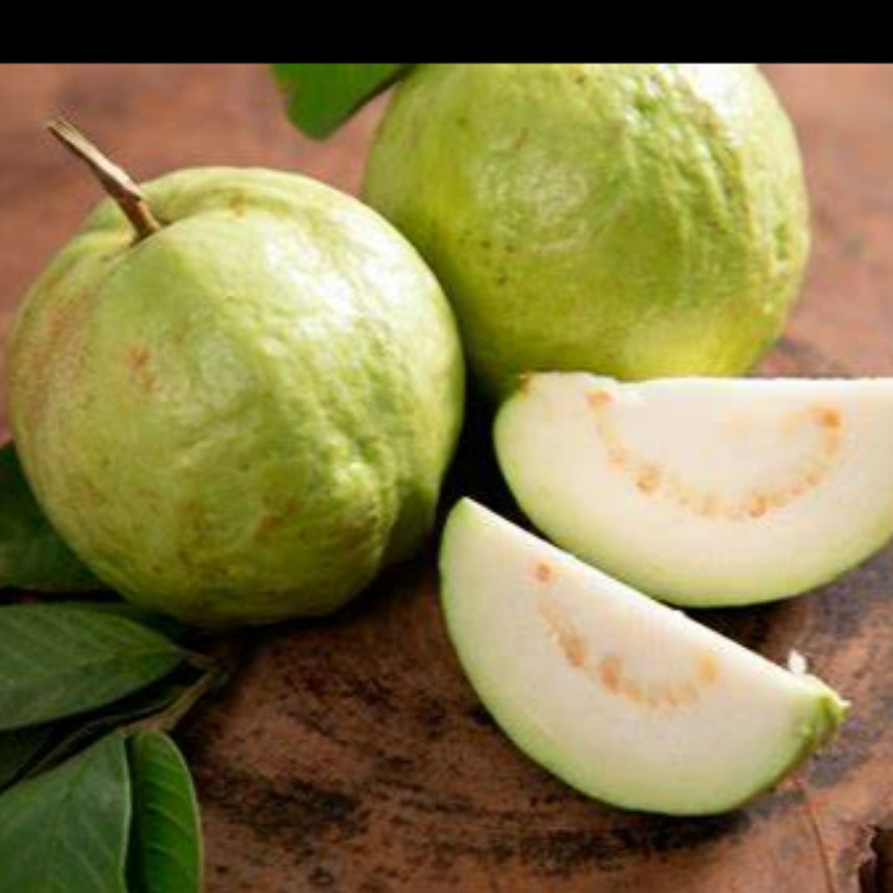 Guayaba  Orgánica (Organic Guava )Kg