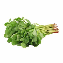 Load image into Gallery viewer, verdolaga Organico (Organic Purslane ) rollo/bunch