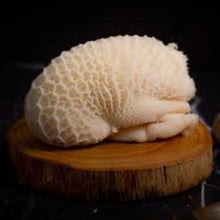 Load image into Gallery viewer, Mondongo (Tripe) | 1 kg aprox