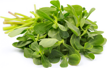 Load image into Gallery viewer, verdolaga Organico (Organic Purslane ) rollo/bunch