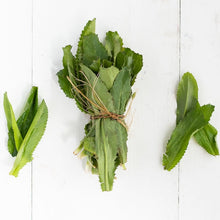 Load image into Gallery viewer, Culantro Coyote (Wild Cilantro)Rollo/Bunch