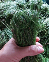 Load image into Gallery viewer, Cola De Caballo(Fresh Horse Tail )Rollo/Bunch