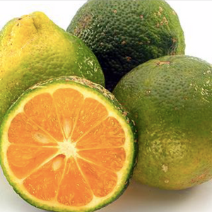 Limón Mandarina Organica(Organic Sour Mandarine) 10Unidades/10Unit