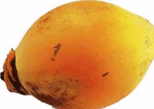 Load image into Gallery viewer, Pipa (Young Coconuts) Unidad