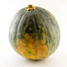 Load image into Gallery viewer, Ayote Criollo Organico (Organic Wild Squash) 2 Kg
