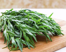 Load image into Gallery viewer, Astragon Organico (Organic Tarragon) rollo/bunch
