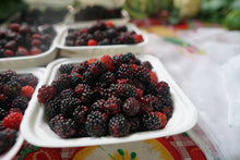 Load image into Gallery viewer, Mora Organica Fresca (Organic Blackberry Fresh) 500 gr
