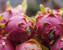 Load image into Gallery viewer, Pitaya Organica(Organic Dragon Fruit)Kg