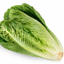 Load image into Gallery viewer, Lechuga Romana Orgánica (Roman Organic Lettuce) unidad/unit