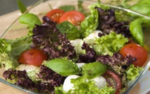 Load image into Gallery viewer, Lechuga Orgánica Lolorosa (Lollo Rose Organic Lettuce) unidad/unit