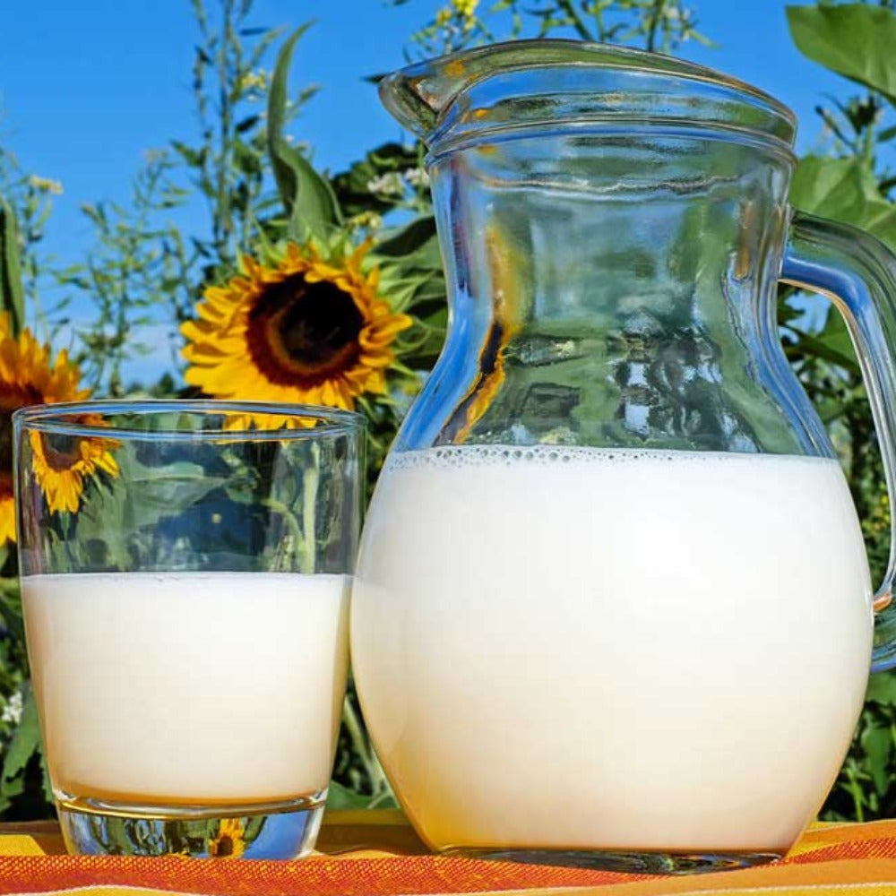 Leche De Vaca Organica (Organic Cow Milk)Liter