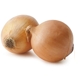 Cebolla Orgánico (Organic Onion) KG