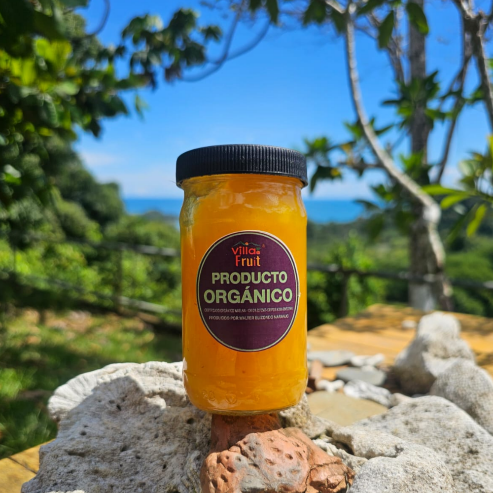 Mermelada de Piña Orgánica 200g / Organic Pineapple Jam 200 g