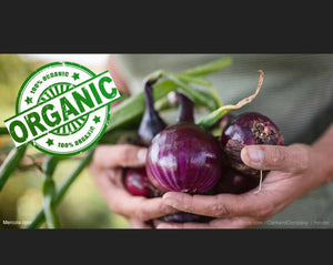 Cebolla Morada Orgánico (Red Organic Onion) 100g