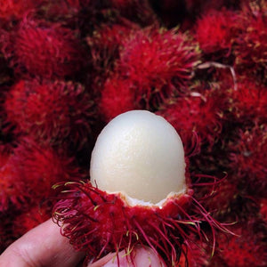 Mamon Chino Organico (Organic Rambutan) Kg