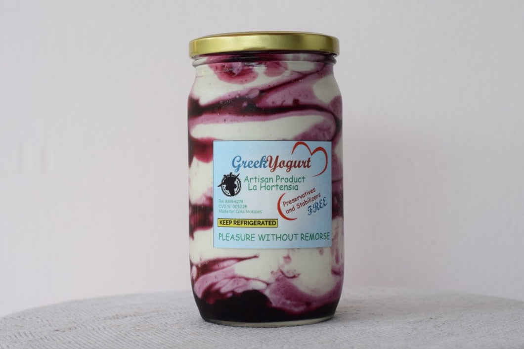 Yogurt Griego de Arandanos (Greek Yogurt with Blueberrys-Goats Milk)