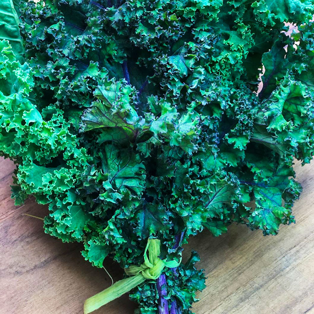 Kale Orgánica (Organic Kale) rollo/bunch