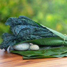 Load image into Gallery viewer, Kale Toscano Organico  (Organic Tuscan Kale ) rollo/bunch
