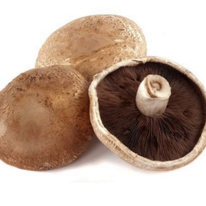 Hongos Agroecologicos Portobello (Portobello) 250g