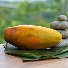 Load image into Gallery viewer, Papaya Organica ( Organic Papaya  ) POR UNIDAD/PER UNIT

