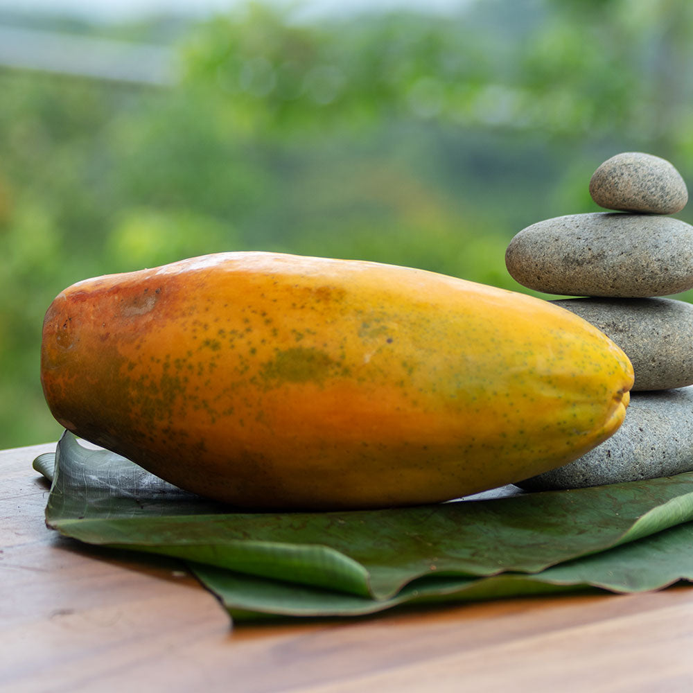 Papaya Organica ( Organic Papaya  ) POR UNIDAD/PER UNIT