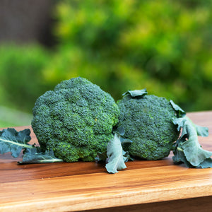 Brocoli Orgánico Certificado (Organic Broccoli) 500 gr