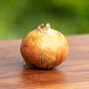 Cebolla Orgánico (Organic Onion) KG