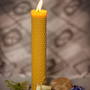 Candelas de Cera de Abejas Cilindro Grande Fino (Bees Wax Candle Fine Large Cylinder)