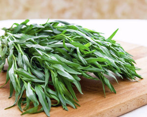 Astragon Organico (Organic Tarragon) rollo/bunch