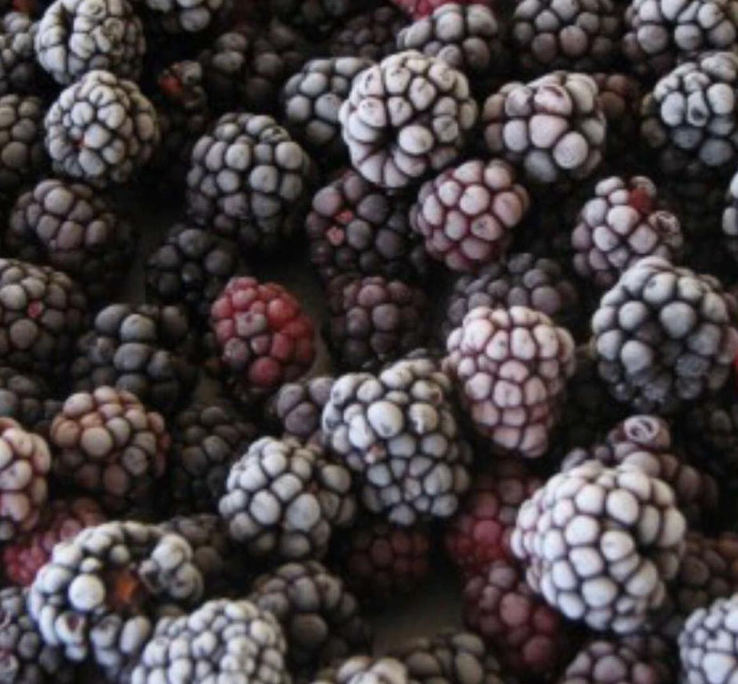 Moras Orgánicas Congeladas   (Organic Frozen Blackberries) kg