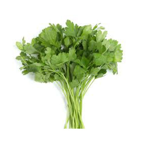 Perejil Italiano Orgánico (Organic Italian Parsley) rollo/bunch