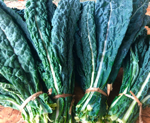 Kale Toscano Organico  (Organic Tuscan Kale ) rollo/bunch