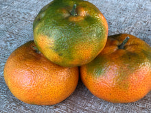 Load image into Gallery viewer, Mandarina Dulce  Organico (Organic Sweet Mandarine)5  Unidad/5 Unit
