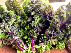 Kale Orgánica (Organic Kale) rollo/bunch