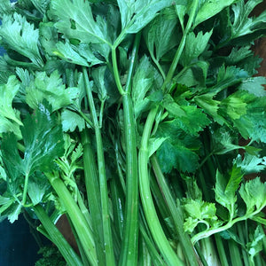 Apio Orgánico (Organic Celery) Bunch
