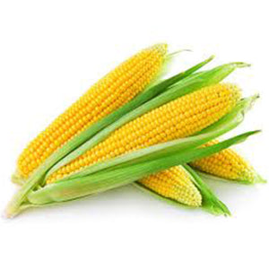 Elotes Orgánico por temporada (Organic Corn Seasonal) unidad/unit