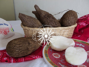 Papa Chiricana Orgánica (Organic Chinese Potatoe) kg