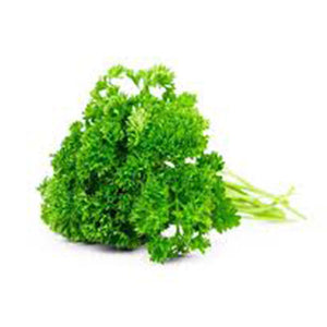 Perejil Orgánico (Organic Parsley) rollo/bunch