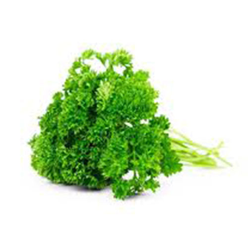 Perejil Orgánico (Organic Parsley) rollo/bunch