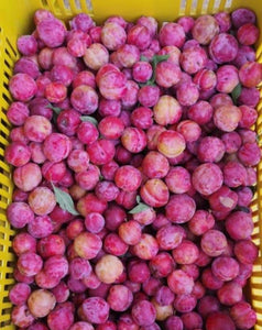 Ciruelas Amarillas & Rojas Organica (Organic Yellow & Red Cherry Plum) 500gr