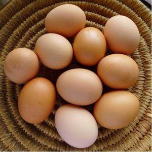 Huevos Orgánicos Pastoreo( Organic Free Range  Eggs) 12 unidades/units